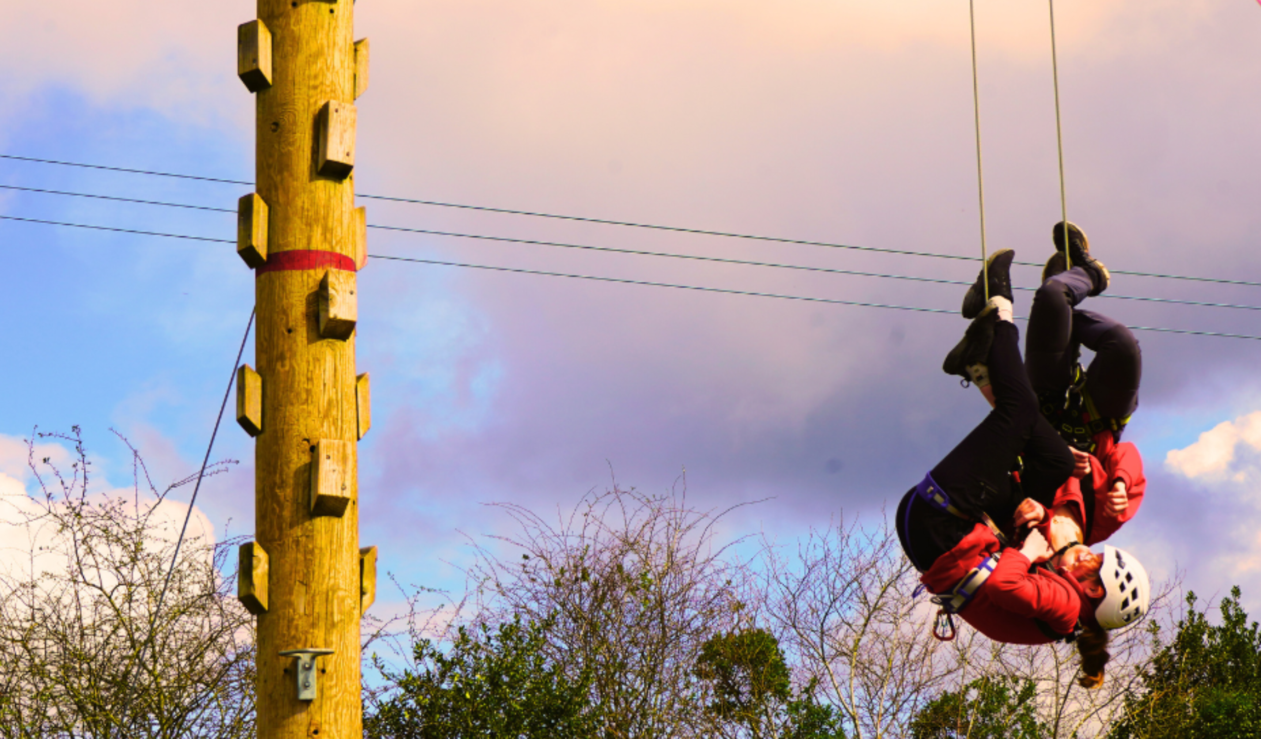 Pictures PIO Website (20)