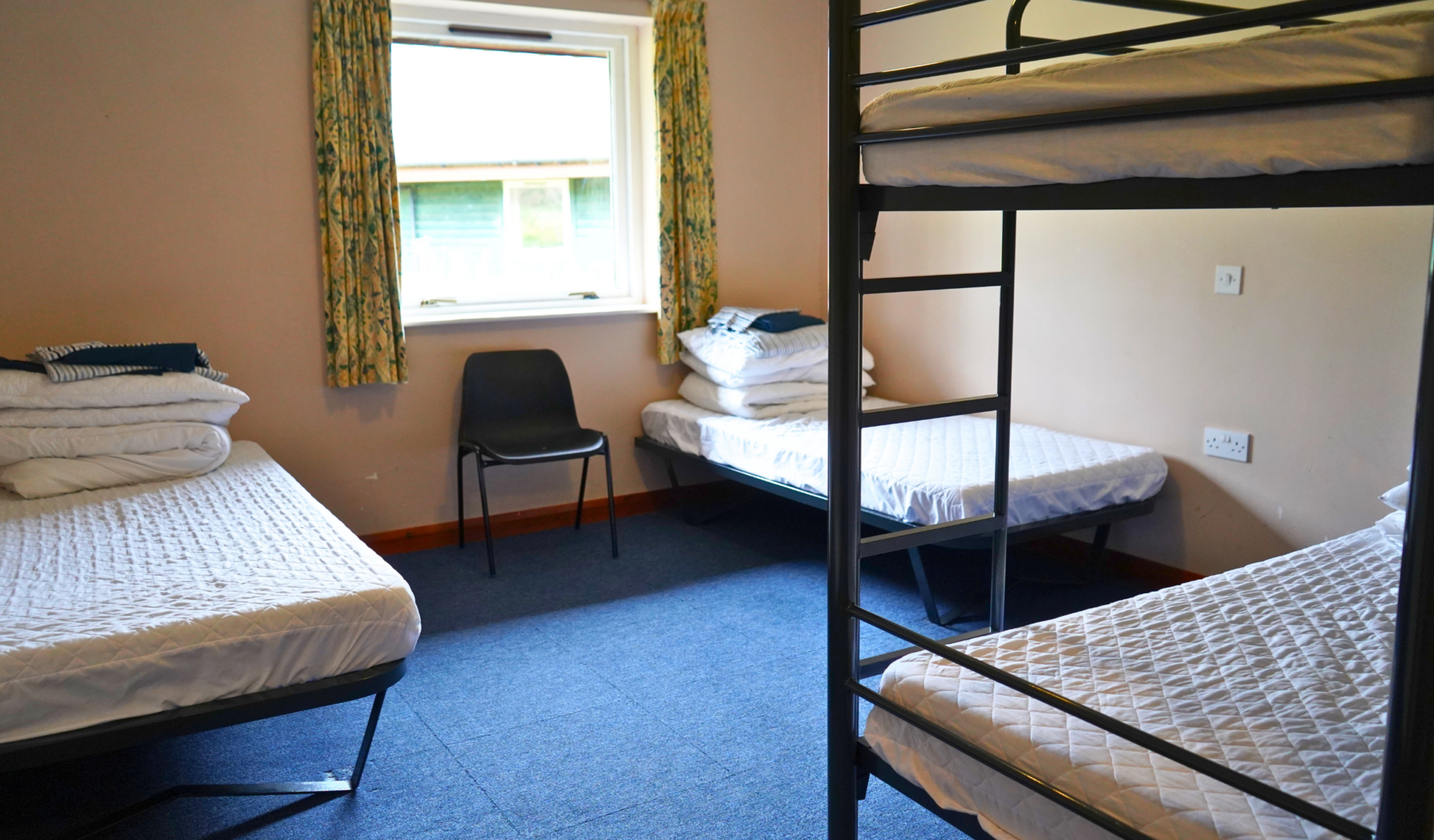 Pictures Correct Size PIO Website (4)