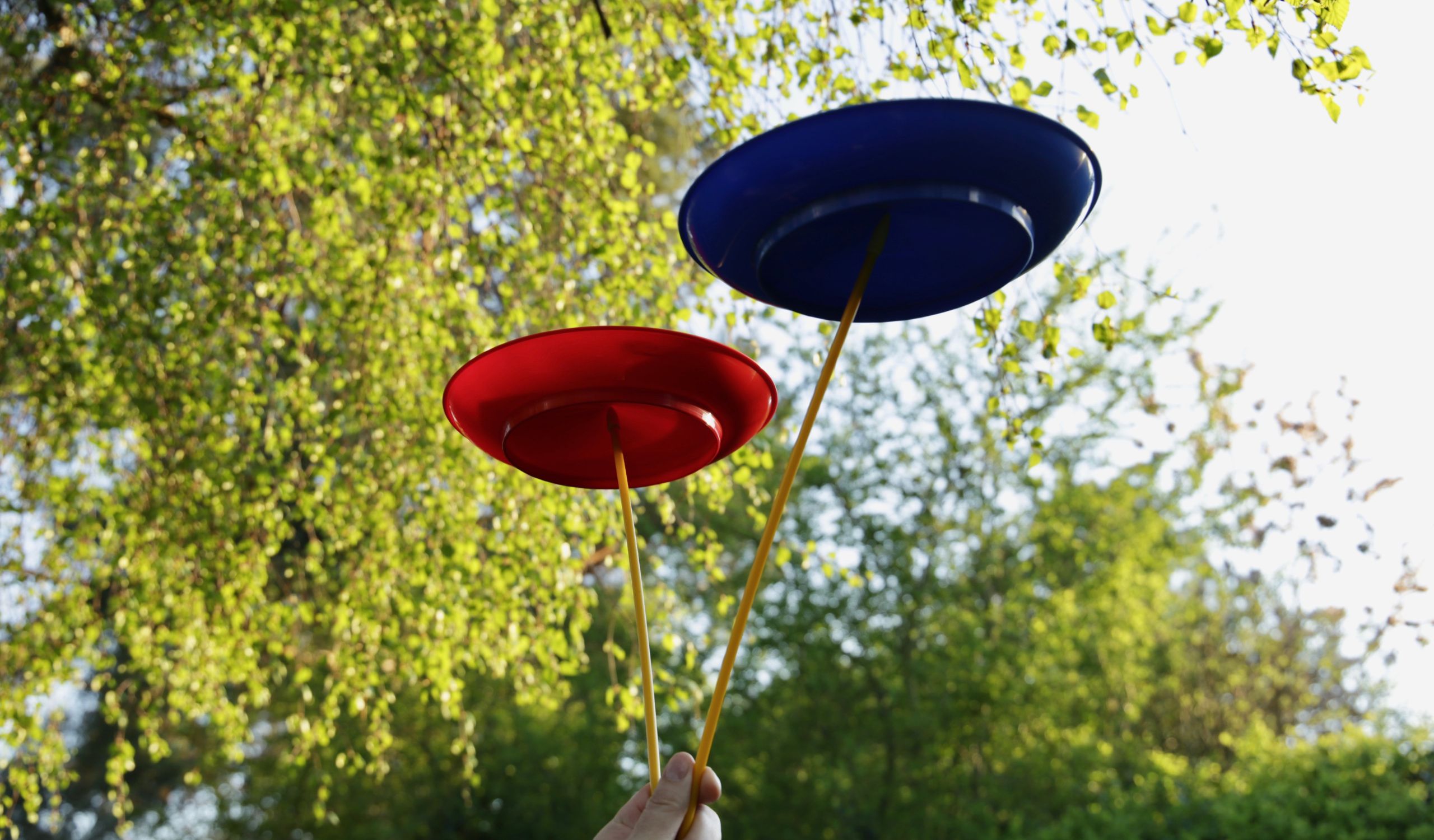 Pictures Correct Size PIO Website (14)