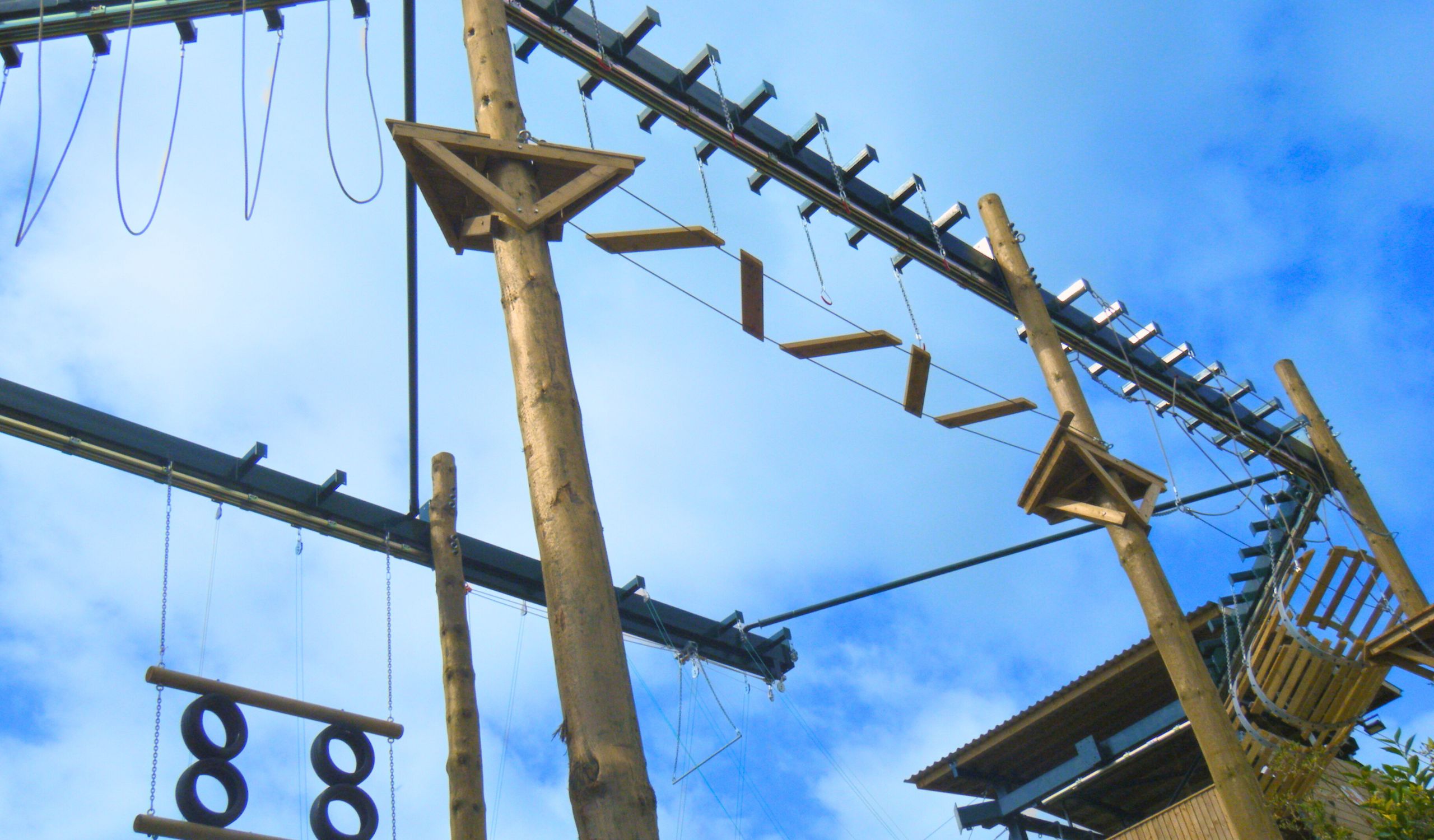 Pictures Correct Size PIO Website (15)