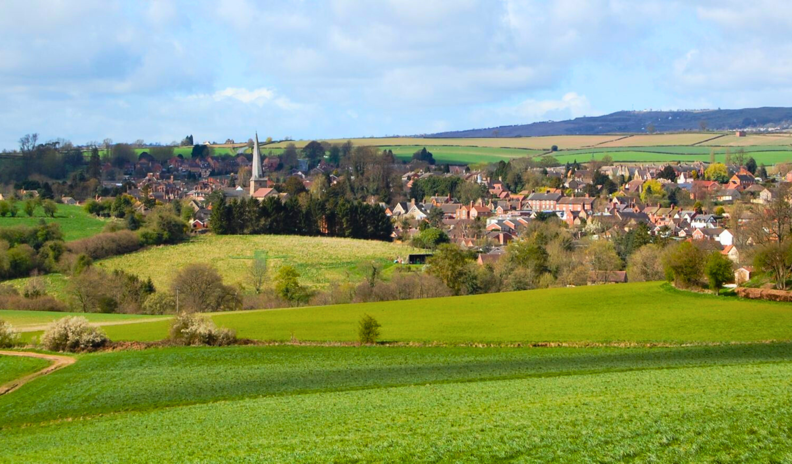 Pictures Correct Size PIO Website (16)