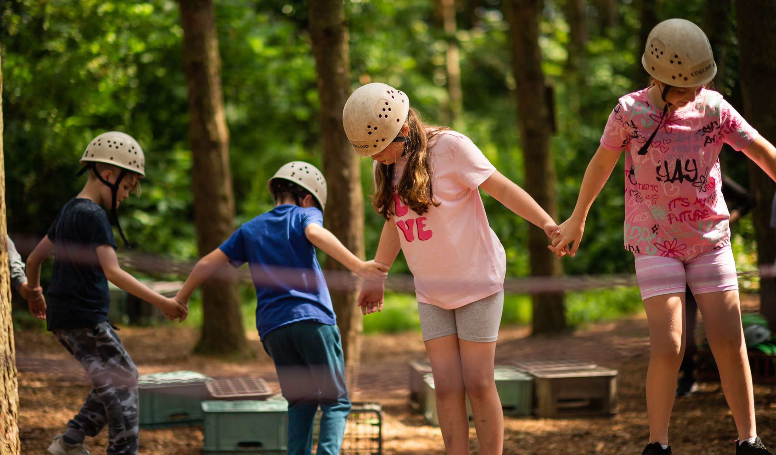 Pictures Correct Size PIO Website (29)