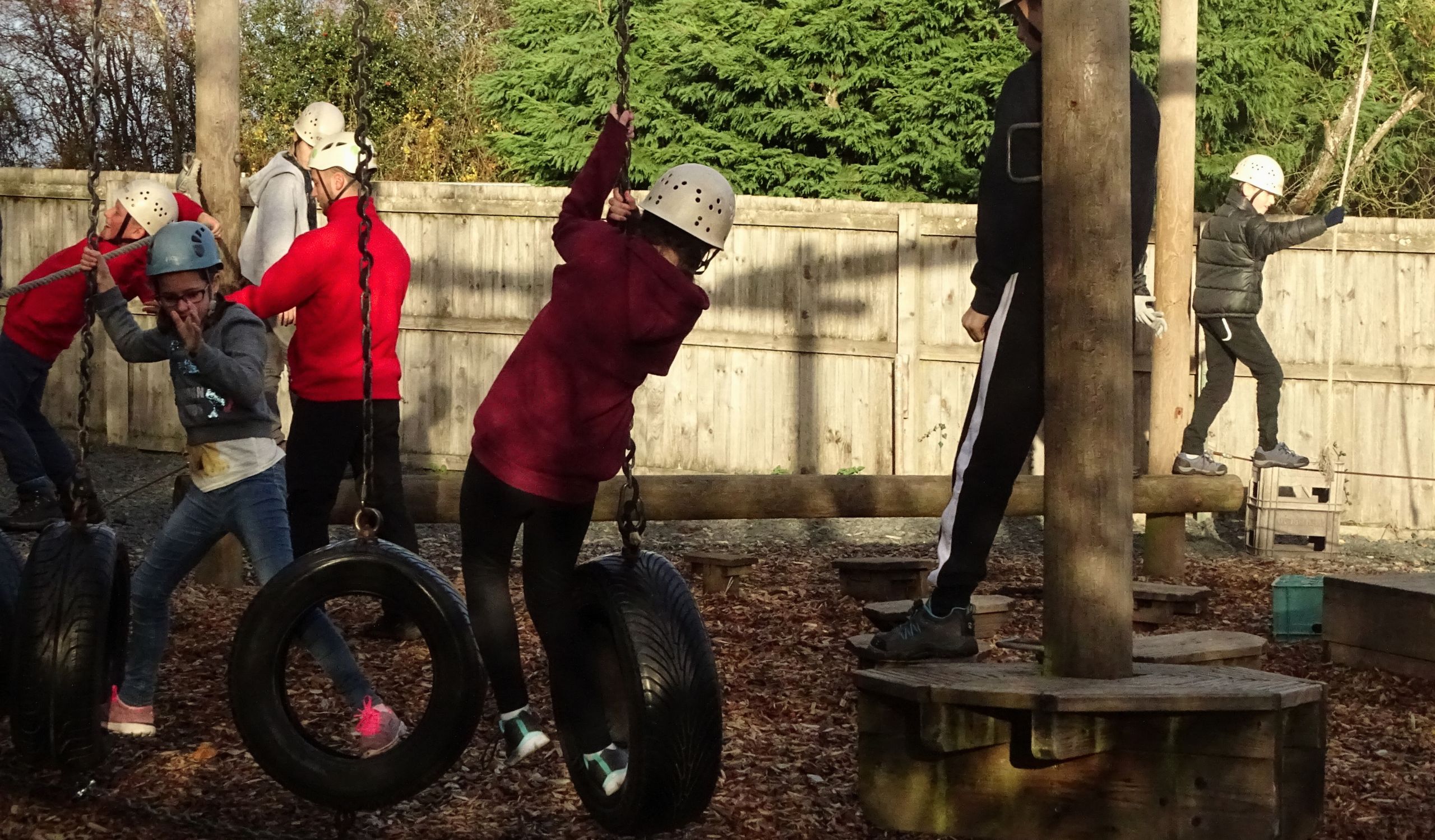 Pictures Correct Size PIO Website (31)