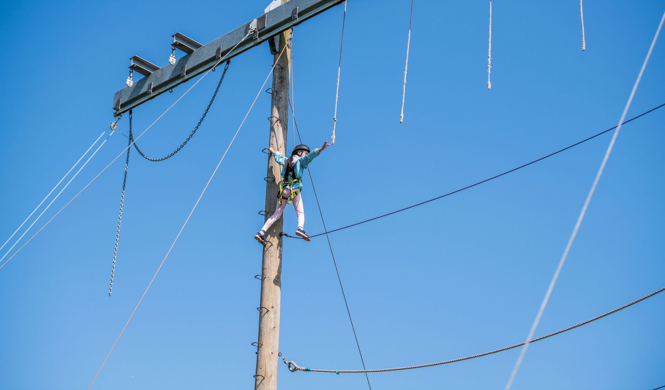 Pictures Correct Size PIO Website (4)