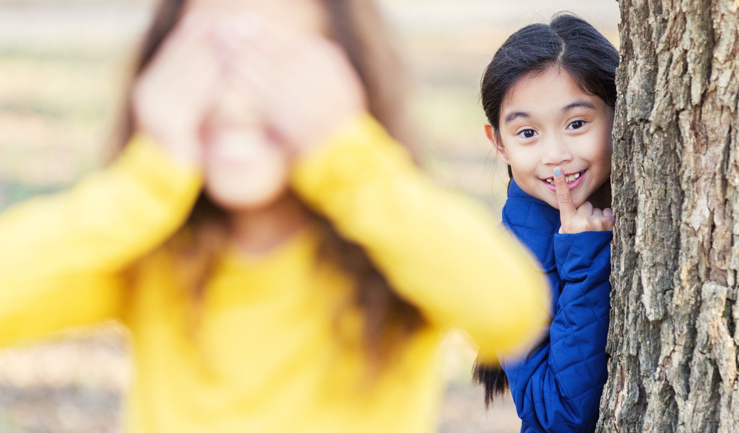 Pictures Correct Size PIO Website (40)