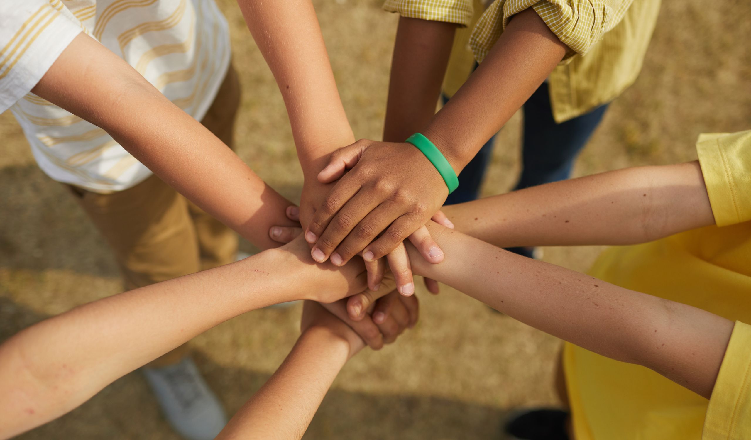 Pictures Correct Size PIO Website (41)