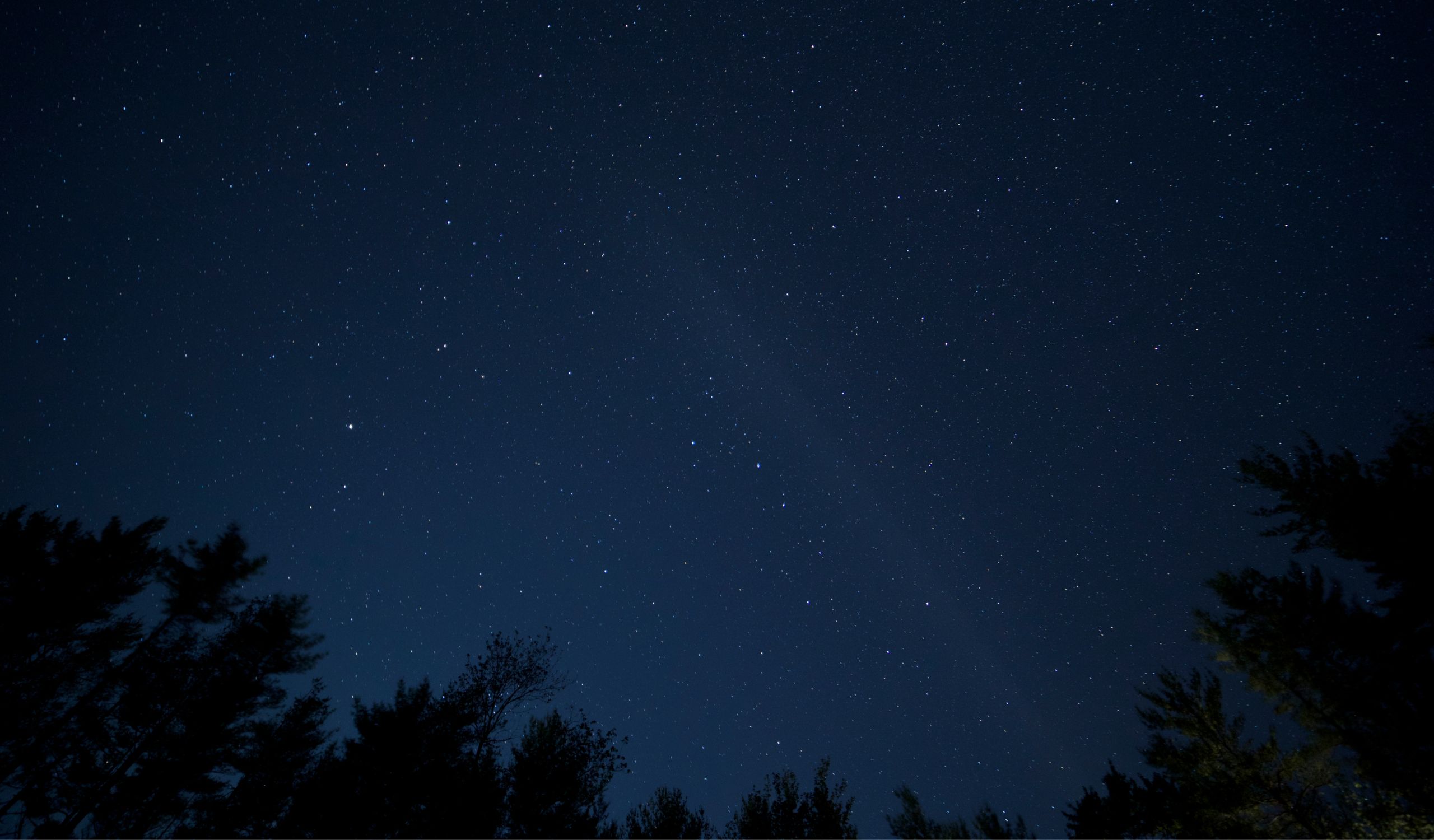 Pictures Correct Size PIO Website (47)