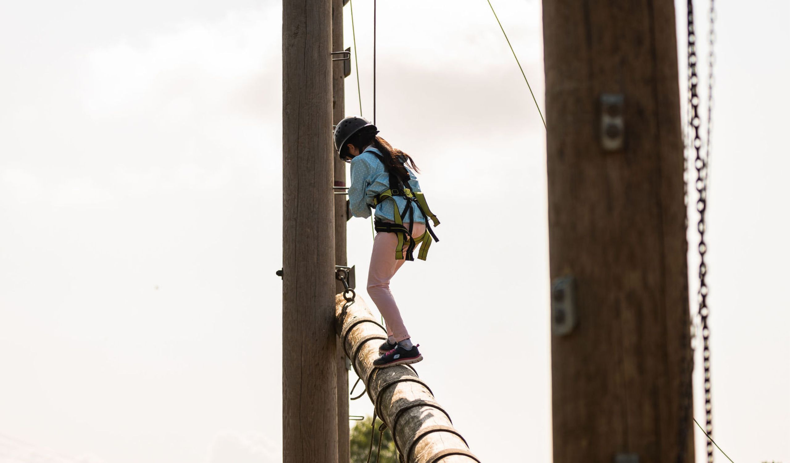 Pictures Correct Size PIO Website (5)