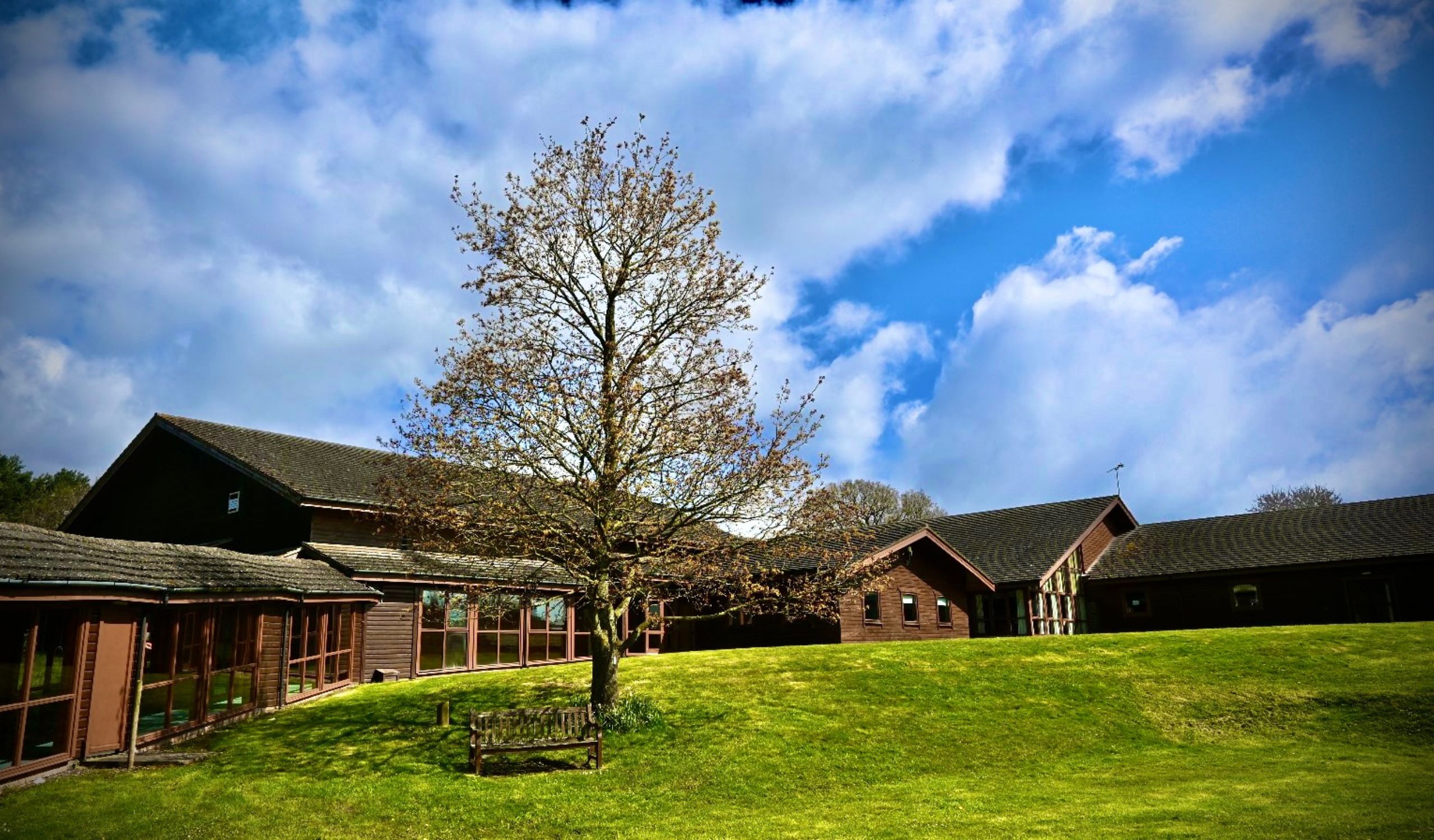 Pictures Correct Size PIO Website (65)